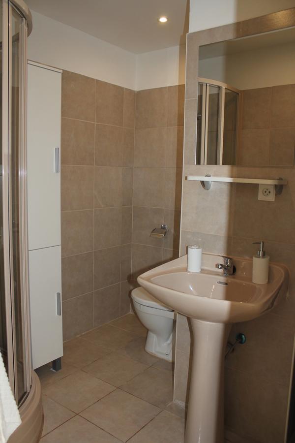 Appartement Viktorie à Frýdek-Místek Extérieur photo